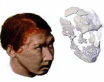 El estudio de un cráneo de hace 36.000 años revela la forma de la violencia entre los neandertales.